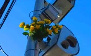 Ce justicier mystérieux de Staten Island fleurit les radars : une touche poétique qui divise New York