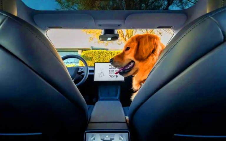 Tesla révolutionne la sécurité : ses nouvelles voitures empêchent l&rsquo;ouverture imprudente des portes, un exploit digne d&rsquo;un ange gardien mécanique