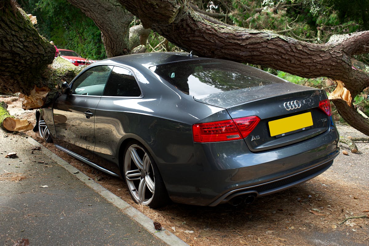 Assurance auto ORNIKAR : simple, claire et sans prise de tête A broken Audi car crushed by a fallen tree in a UK street accident.